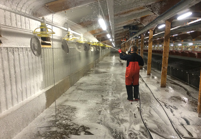 高溫高壓清洗機在養殖業中的應用